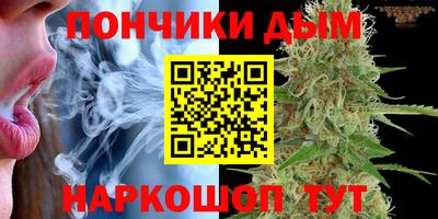 амф Коммунар